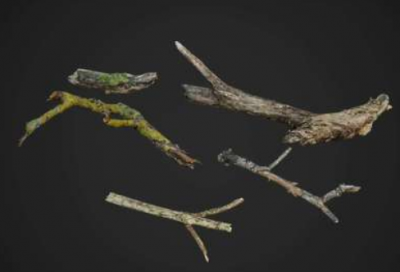 ​济南市政协会议殷鲁谦作工作报告