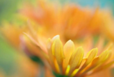 ​寄语大全优美的语句