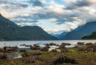 ​节水的有关资料