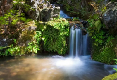 ​九歌·国殇原文