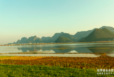 ​君生我未生,我生君已老全文及解析