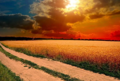 ​康复医学的学习心得