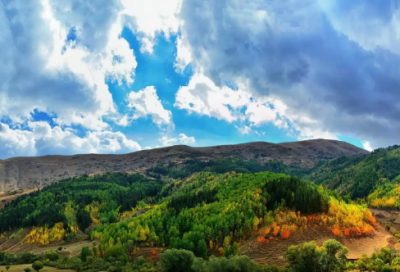 ​考试成绩家长评语怎么写