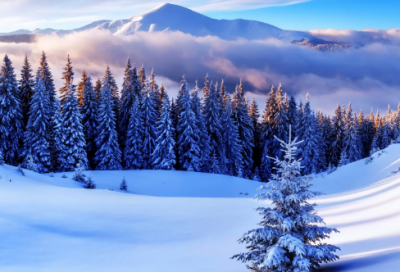 ​六年级班主任寄语