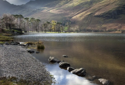 ​绿豆汤的做法_绿豆汤的功效与作用