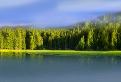 ​茅草根的功效与作用