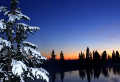 ​描写动物的二十个句子