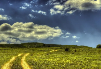 ​描写花的段落摘抄欣赏