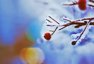 ​暖心留言给女生友谊