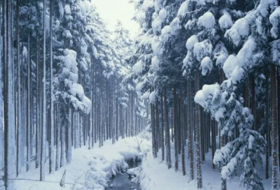 ​乔迁短信邀请函怎么写