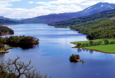 ​秦皮的功效与作用