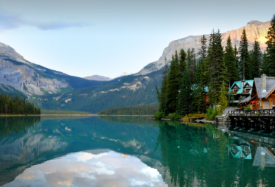 ​青铜葵花优秀读后感800字