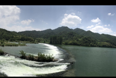 ​屈原《九章·橘颂》全文翻译赏析