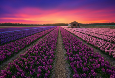 ​温暖的话243句