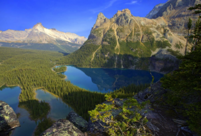 ​五查五看个人的自查报告