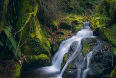 ​物流客服工作职责