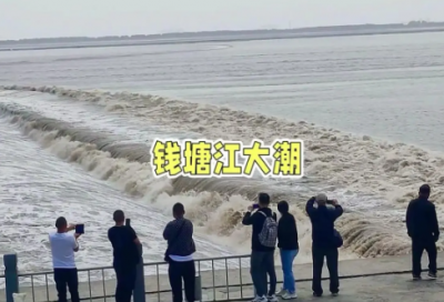 ​西游记好词好句好段摘抄大全