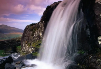 ​小学二年级下册《小鹿的玫瑰花》课文读后感100字