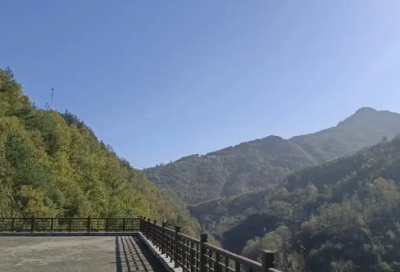 ​小学四年级数学试卷分析