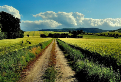 ​小学一年级好词好句大全