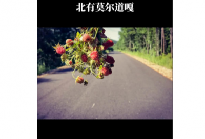 ​新婚简短的祝福语大全