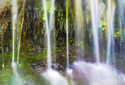 ​一定要有一技之长演讲稿