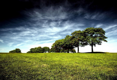 ​一年四季的经典问候语