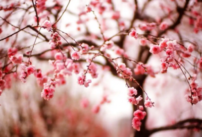 ​英语读书心得读后感