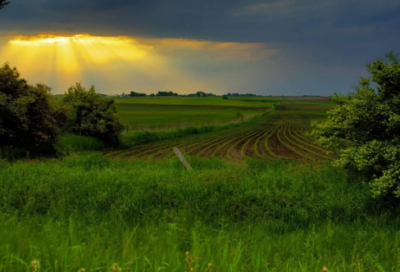​咏怀古迹・其一翻译赏析_作者杜甫