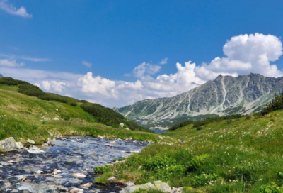 ​优美的段落加赏析