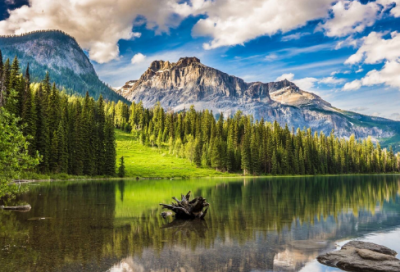 ​有关人物描写摘抄