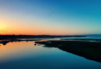 ​运动会入场词100字