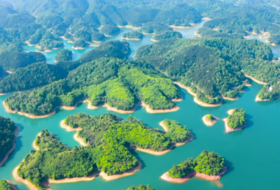 ​怎么进入广州市学驾服务平台