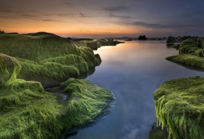 ​定语从句的例句有哪些