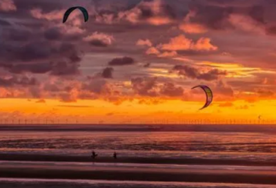 ​【马齿苋】马齿苋的功效与作用