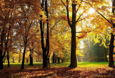 ​《宿甘露僧舍》译文及赏析