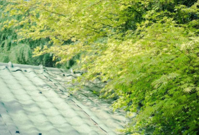 ​《夏至未至》经典语录