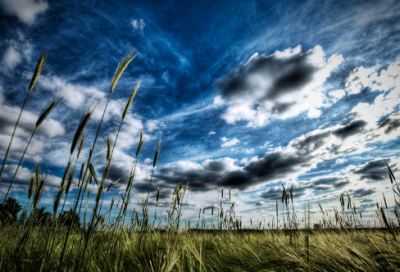 ​《滕王阁序》读后感