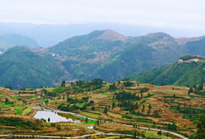 ​曹刿论战翻译和原文