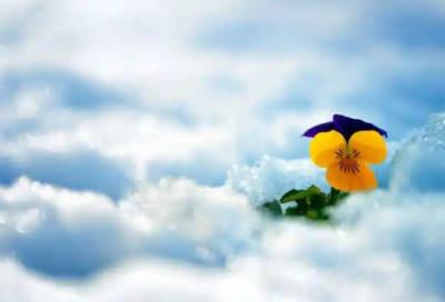 ​财务报表分析的收获与心得