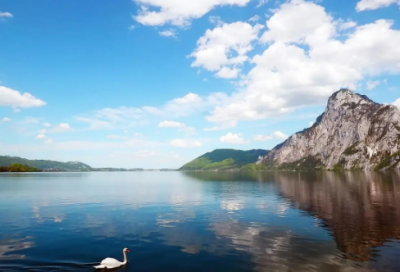 ​病梅馆记原文和翻译及写作背景