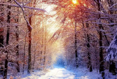 ​八一建军节祝词160句