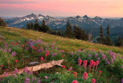 ​安全教育日作业