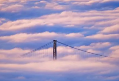 ​《昆虫总动员》观后感范文