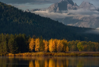 ​《卜算子》苏轼词翻译赏析
