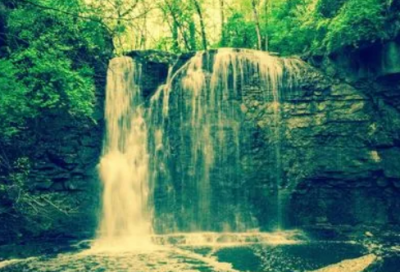 ​“虚伪的朋友”