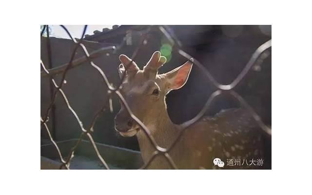 伤痕累累的我,这些被爱情伤的网名让你感同身受 伤痕累累的我,这些被爱情伤的网名让你感同身受