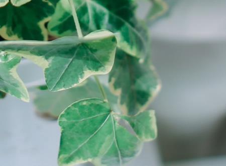 一个字的网名,最新好听的一个字个性昵称