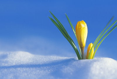 ​dnf好听的漫游名字_风中漫步