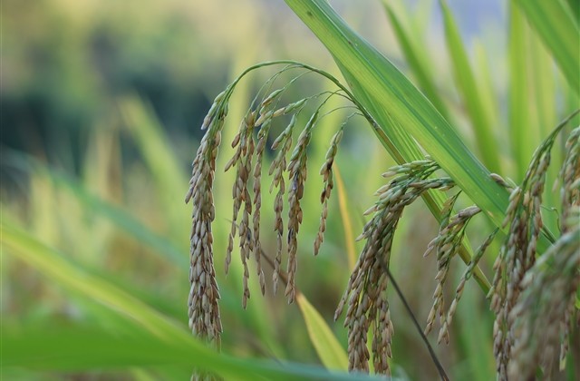 qq飞车网名简单好听 qq飞车网名简单好听